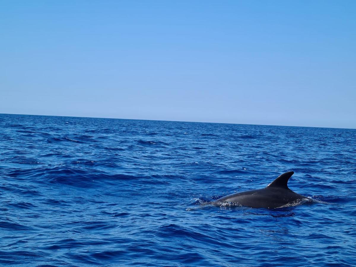 Bed and Breakfast Sole Mare Sale Торре-Нубия Экстерьер фото
